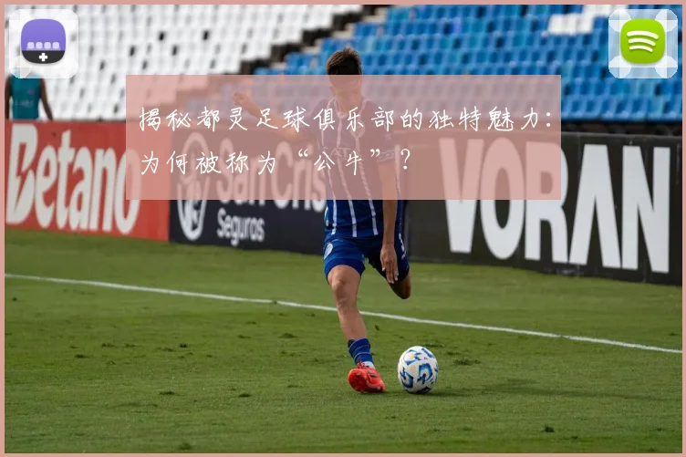 揭秘都灵足球俱乐部的独特魅力：为何被称为“公牛”？