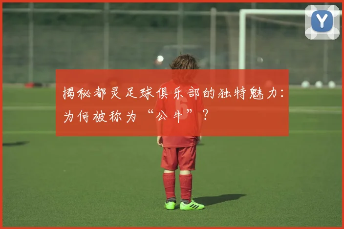 揭秘都灵足球俱乐部的独特魅力：为何被称为“公牛”？